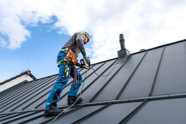 Best Solar Panel Roofing Installation  in Newton Falls, OH